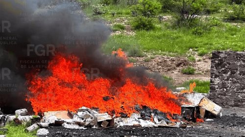 FGR incinera más de 400 kilos de narcoticos en Edomex