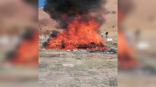 FGR destruye dos toneladas y media de narcóticos durante enero