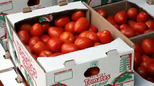 Alista Estados Unidos arancel al tomate; este lunes se oficializa