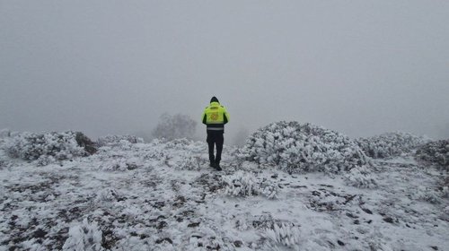 Prepare el abrigo: Traerá tormenta invernal nieve a NL