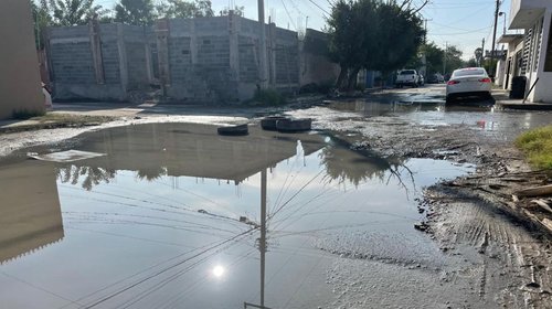 Fuga de aguas negras daña pavimento en la colonia Pedro J. Méndez
