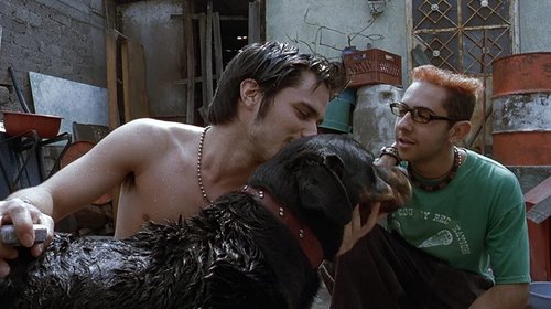 ‘Amores Perros’ regresa a cines mundiales con reestreno en 4K