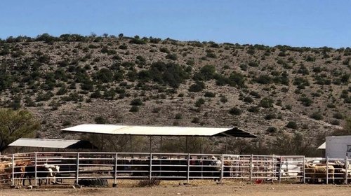 Ramos Arizpe cumple más de año sin reportes de abigeato