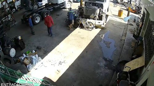 Difunden video de maltrato animal contra un gato en Apodaca