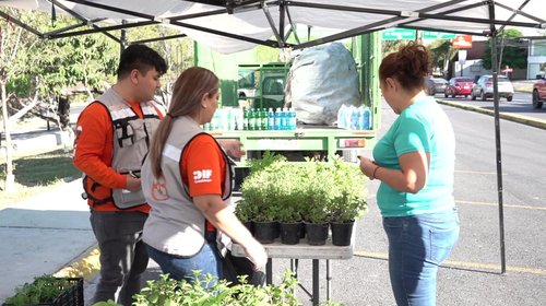 Refuerza Guadalupe campaña de reciclaje de basura por plantas