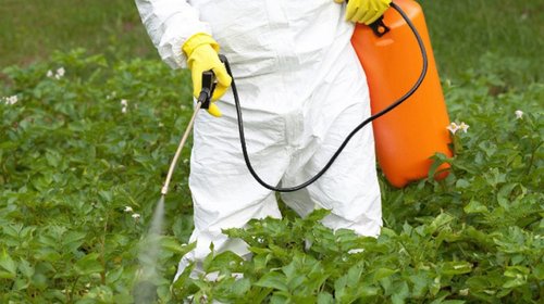 Agroquímicos respaldan continuidad del uso del glifosato