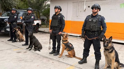 Fortalece Guadalupe adiestramiento de binomios K9