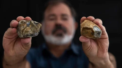 ¡Hallazgo inesperado! Descubren restos prehistóricos en Málaga