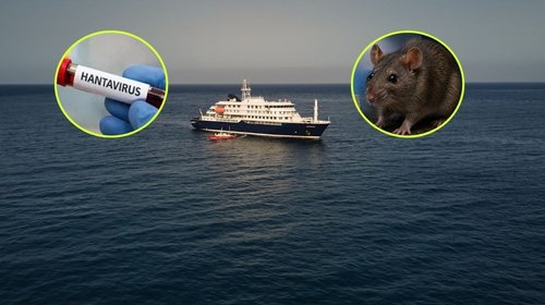 Trasladan a Europa a tres pacientes por hantavirus desde crucero