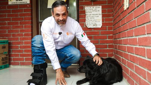 Prevendrán gusano barrenador en mascotas de Nuevo León