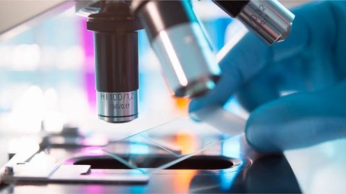 Crean agente de IA para acelerar investigaciones biomédicas