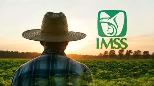 IMSS suma más de 19 mil migrantes y trabajadores al seguro social