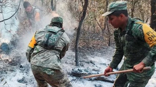 Arrasa incendio forestal con 700 hectáreas en Villa de Casas