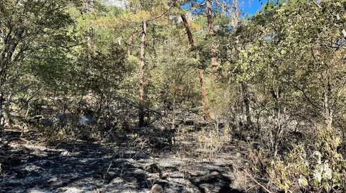 Controlan incendio en El Pajonal; consume 1700 hectáreas