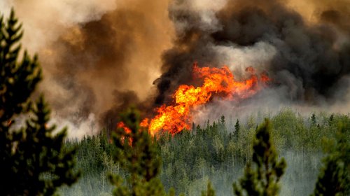 Muere bombero combatiendo incendio forestal en Canadá