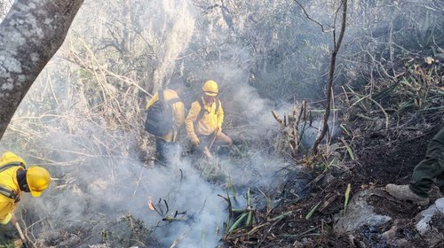 Liquidan incendio forestal en Zaragoza; consume 31 hectáreas