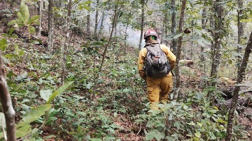 Brigadistas combaten incendio en ejido de Aramberri