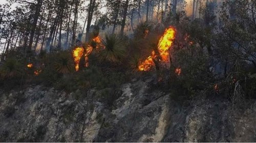 Contabilizan hasta 18 incendios forestales en Tamaulipas