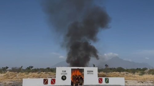Incineran casi media tonelada de droga asegurada en operativos