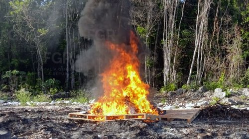 Incineran más de 150 kilos de narcóticos en Quintana Roo