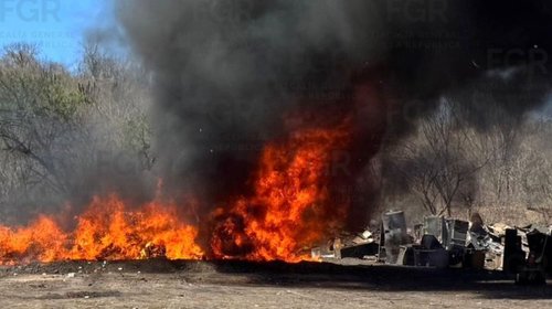 Incineran más de nueve toneladas de narcóticos en Sinaloa