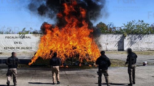 Incineran más de dos toneladas de narcóticos en Jalisco