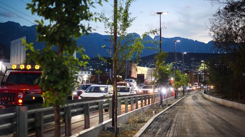 Comienzan arborización de circuitos lineales en av Morones Prieto