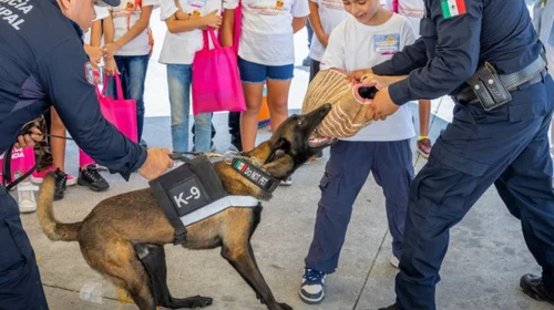 Inicia campamento infantil para enseñar cómo actuar ante riesgos 