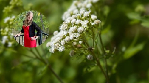 Mujer trató de envenenar a su esposo con una planta en su licuado