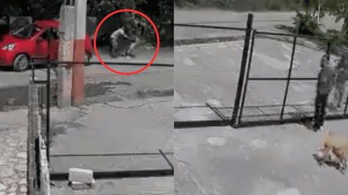 VIDEO: Impiden que mujer sea secuestrada afuera de su casa