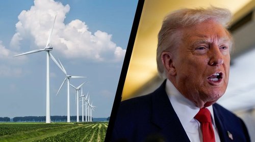 Jueza federal anula orden de Trump que bloqueaba energía eólica