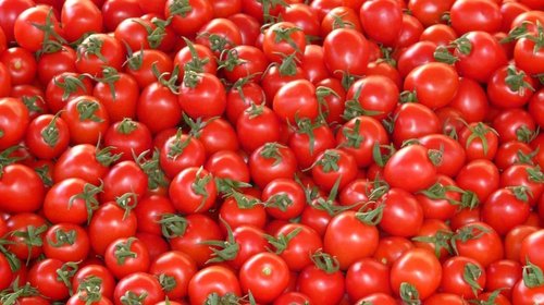 Levanta EUA restricción a importación de tomate mexicano