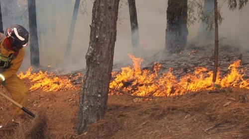 Se declaran listas brigadas contra incendios 