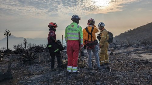 Lluvias liquidan incendios forestales en Nuevo León