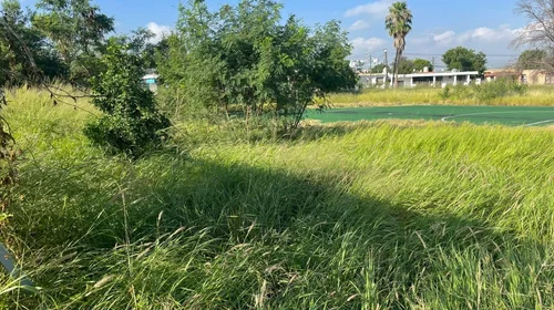 Maleza inunda campo deportivo en escuela de Guadalupe