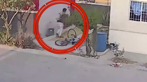 Difunden maltrato animal al exterior de vivienda en Juárez