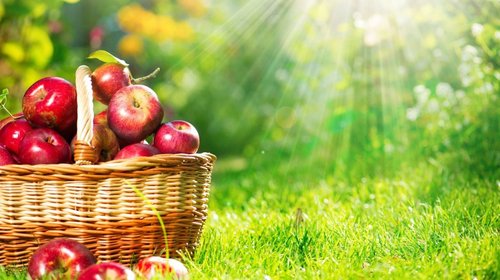 La manzana: posee diversos beneficios para el organismo