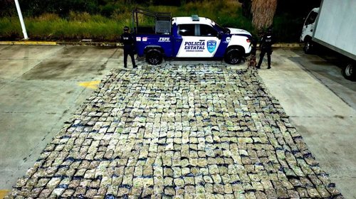 Aseguran más de 500 kg de marihuana en paquetería de Guanajuato