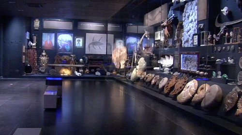 ¡Conoce en primicia el museo 'La Milarca' en San Pedro!