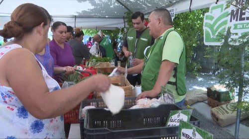 Ahorran familias en la canasta básica con Mercadito Mejora