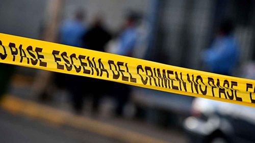 Localizan restos en dos fosas durante búsqueda en Miguel Alemán