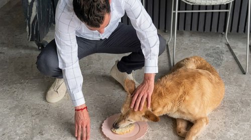 Miguel Flores dona su sueldo para apoyar a perros maltratados