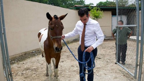 Garantiza Miguel Flores vida digna a 'Manchas' en santuario