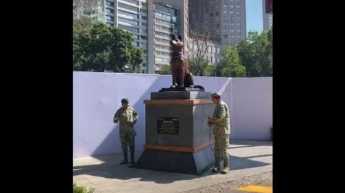 Develan monumento en honor al perro rescatista 'Proteo'