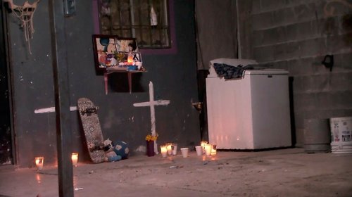 Indagan muerte de hermanos por posible picadura de garrapata
