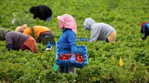 Mexicanas aportan US$1,000 millones a economía de EUA: Gobierno