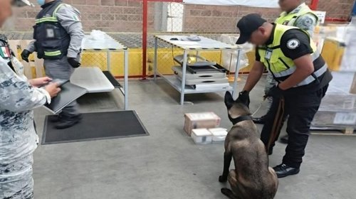 Hallan droga oculta en paquetes de veladoras en el AIFA