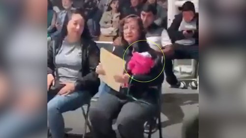 Denuncia Profepa posesión ilegal de mono araña en Jalisco