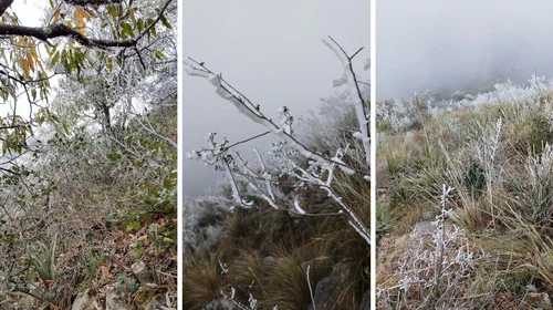 Cumbres de la urbe regia comienzan a registrar hielo