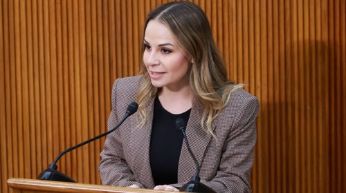 Vencen el veto y aprueban ayudas en tarifas del transporte